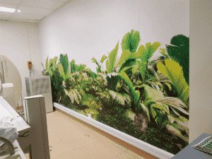 Hospital Graphic - Wall Graphics Newcastle - Big Colour