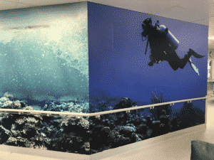 John Hunter Wall Graphics Newcastle - Big Colour