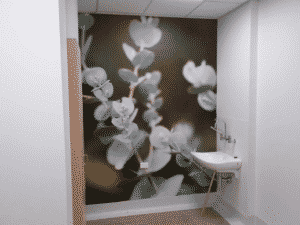 Belmont Hospital Bathroom Art - Wall Graphics Newcastle - Big Colour