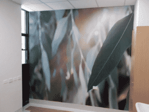 Belmont Hospital Wall Graphics Newcastle - Big Colour