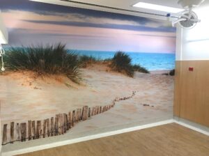 John Hunter Wall Graphics Newcastle - Big Colour