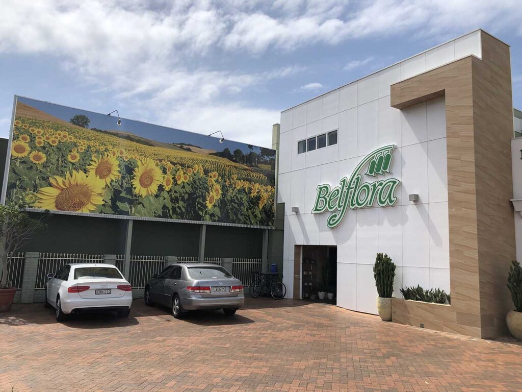 Belflora - Shop Front Signs Newcastle - Big Colour