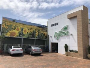 Belflora - Shop Front Signs Newcastle - Big Colour