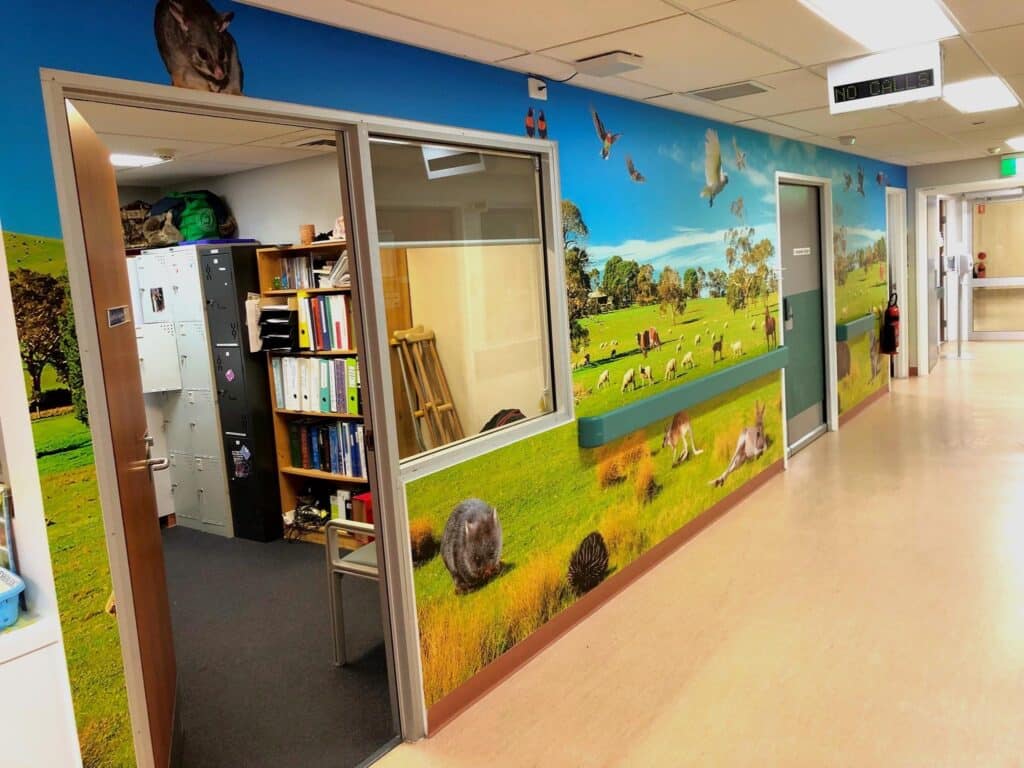 Australian Animal Wall Graphics Newcastle - Big Colour