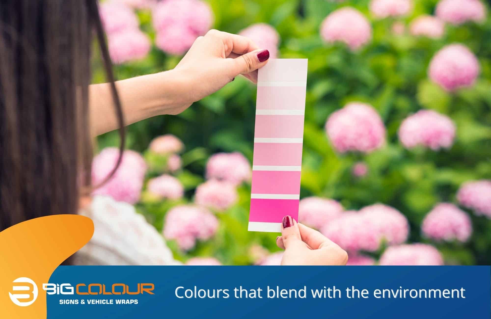 Colours that blend with the environment