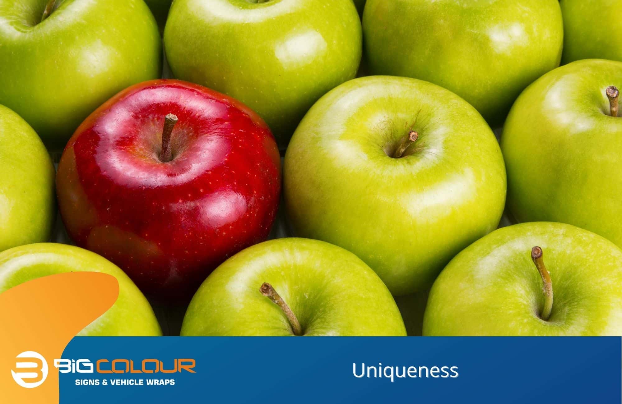 Uniqueness